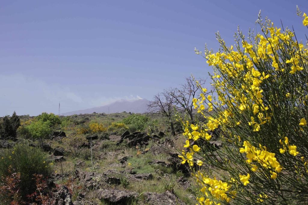Ecoagriturismo Notti Stellate Etna Mare Mascali Εξωτερικό φωτογραφία